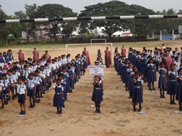 Constitution day Celebration