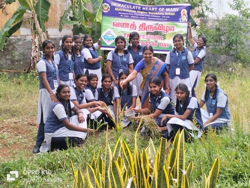 VAN MAHOTSAV